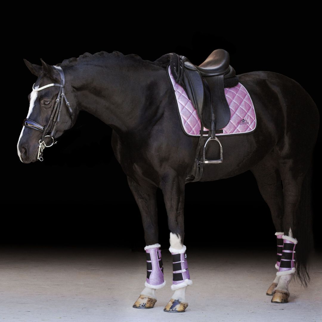 choose your horse gear set box Winter Mystery Box