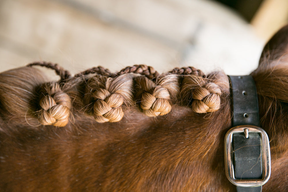 Horse Braiding and Plaiting Wax 2.6 oz