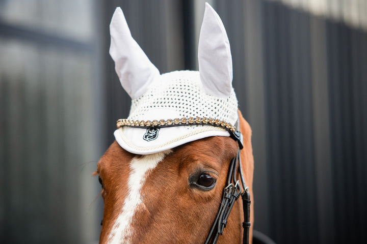 Goldenlight Browband