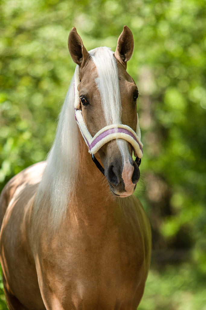 Pink Mist Halter