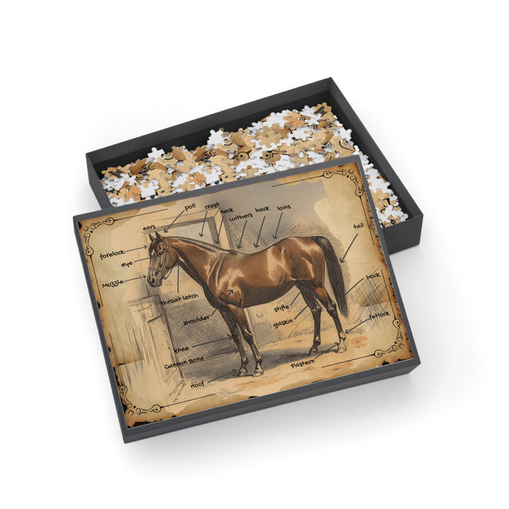 Vintage Parts of the Horse Anatomy Puzzle - Educational Parts of the Horse Jigsaw (500 pcs)