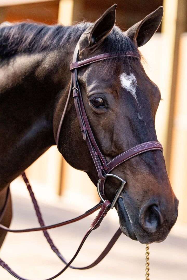 Brown Leather Stitched Schooling Laced Reins Equestrian