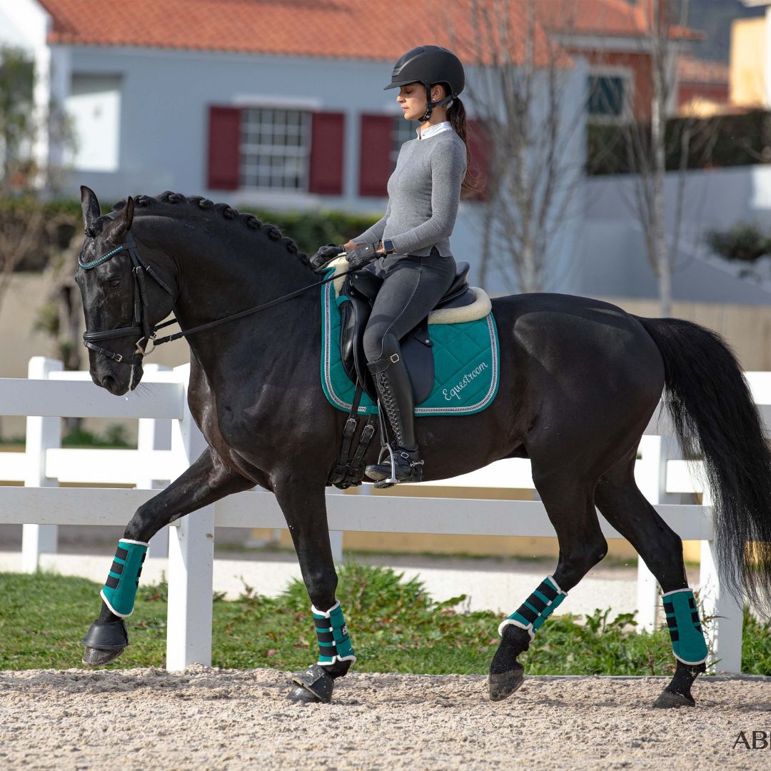 Online shop for Horse Tack, Riding Apparel, Equestrian Equipment ...