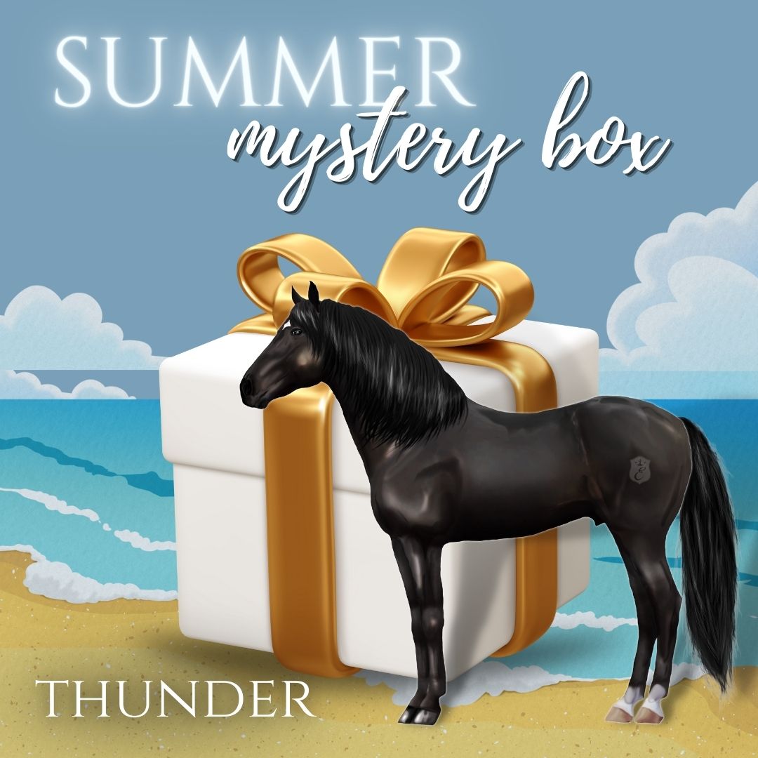 Summer Mystery Box - THUNDER