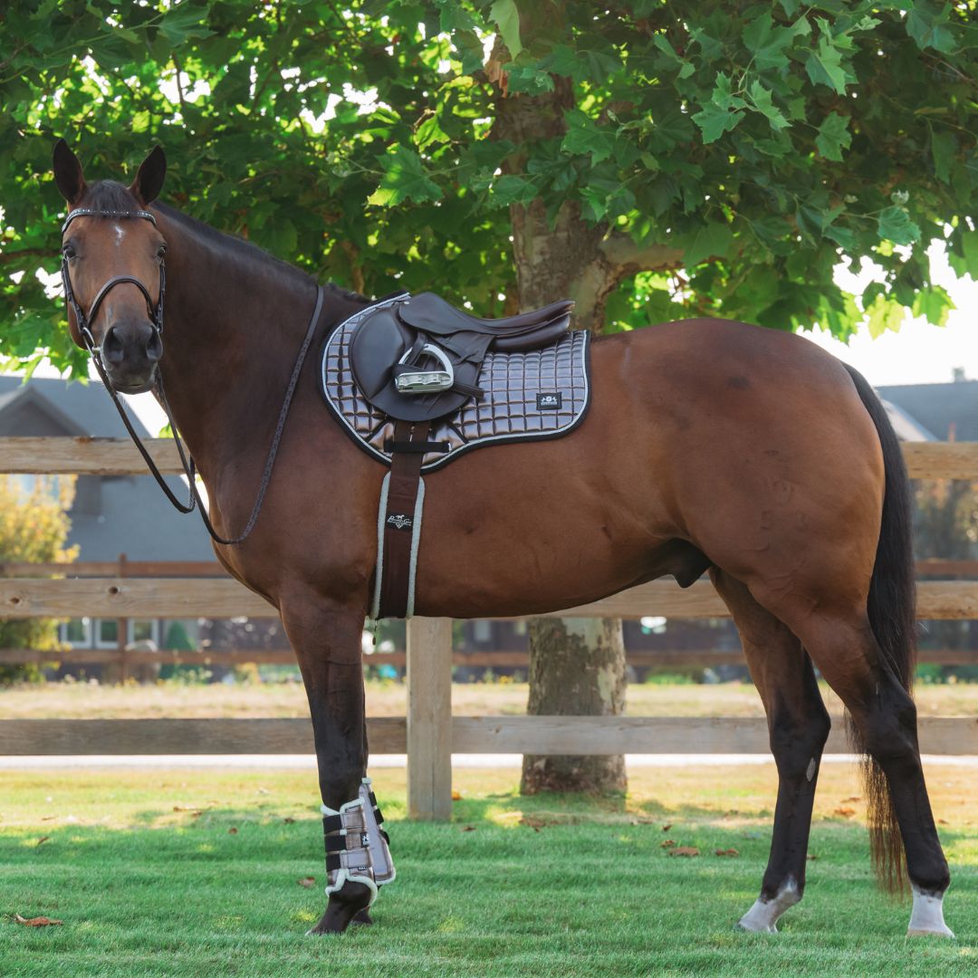 horse gear pad Equestroom