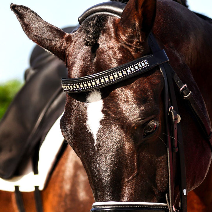 B&W Browband