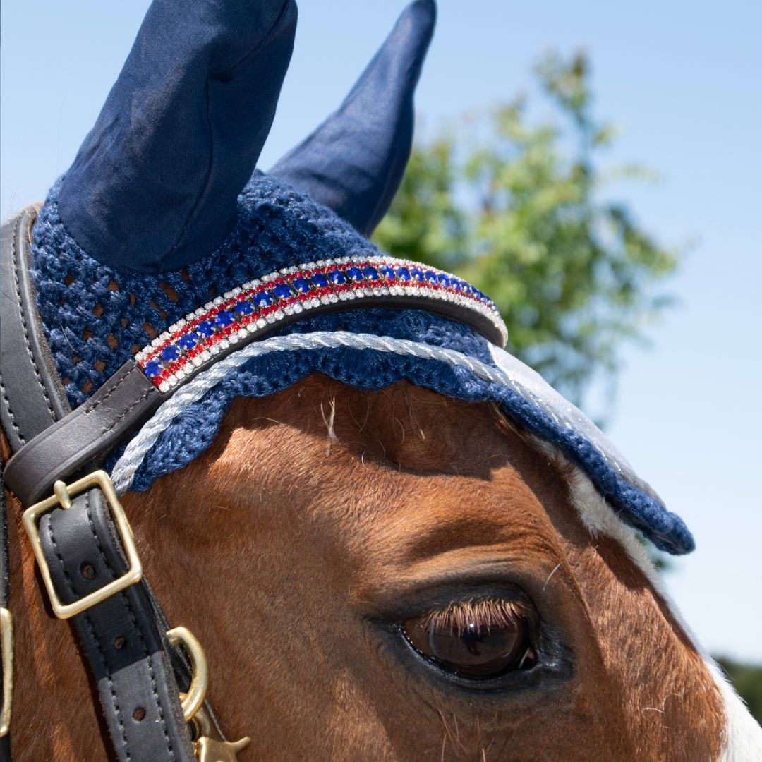 Patriot American Browband