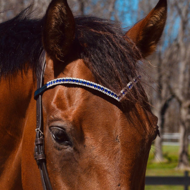 Blue Astra Browband
