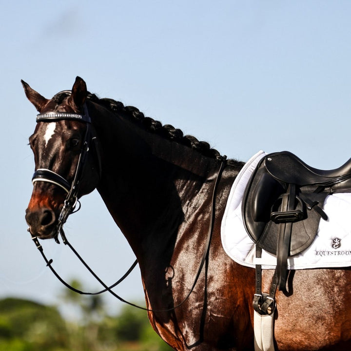 B&W Browband