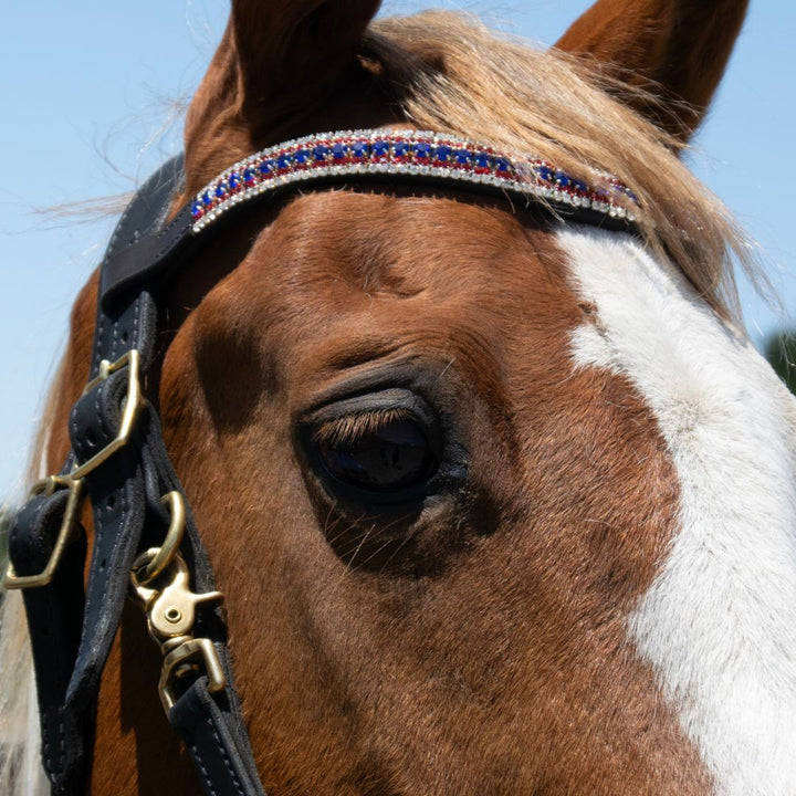 Patriot American Browband