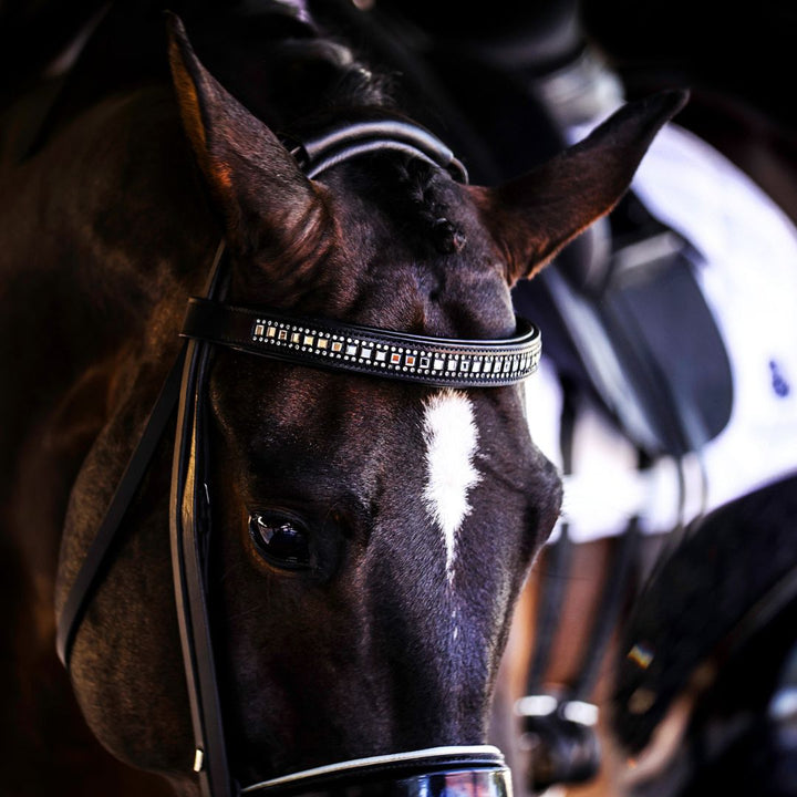 B&W Browband