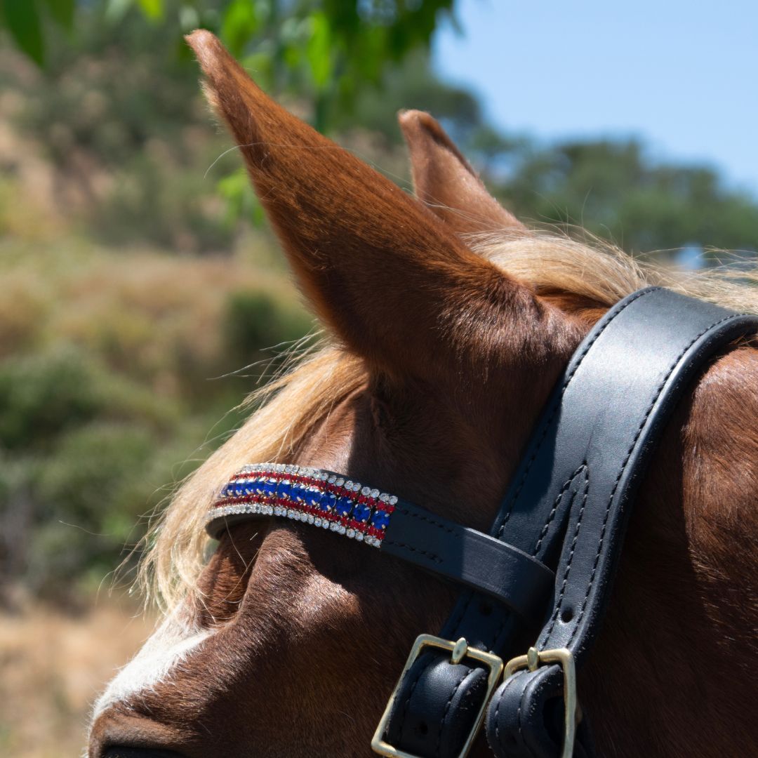 Patriot American Browband