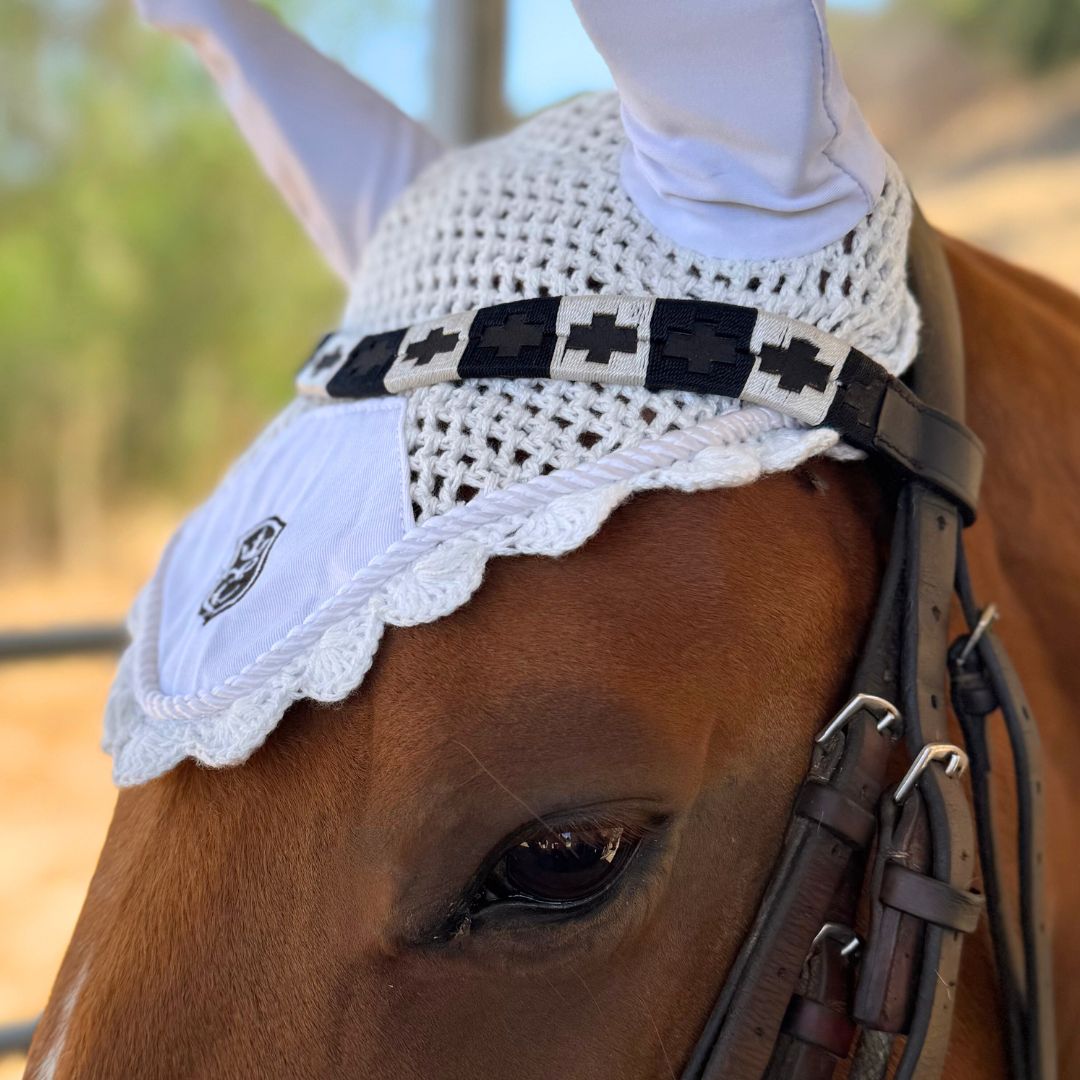 B&W Polo Browband