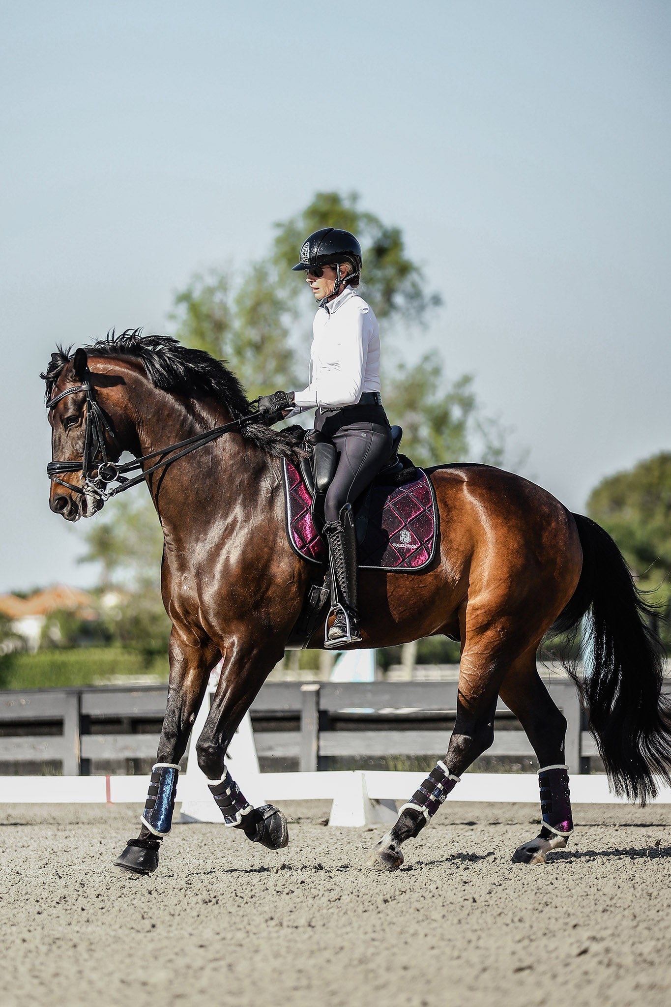Ultraviolet Saddle Pad Set