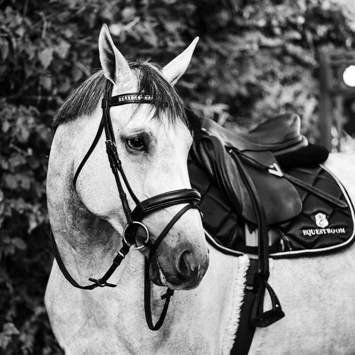 B&W - Black Saddle Pad