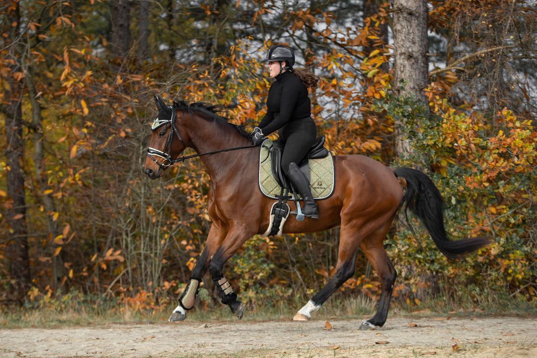 Astris Brushing Boots