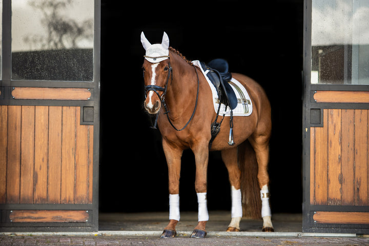 Goldenlight Browband