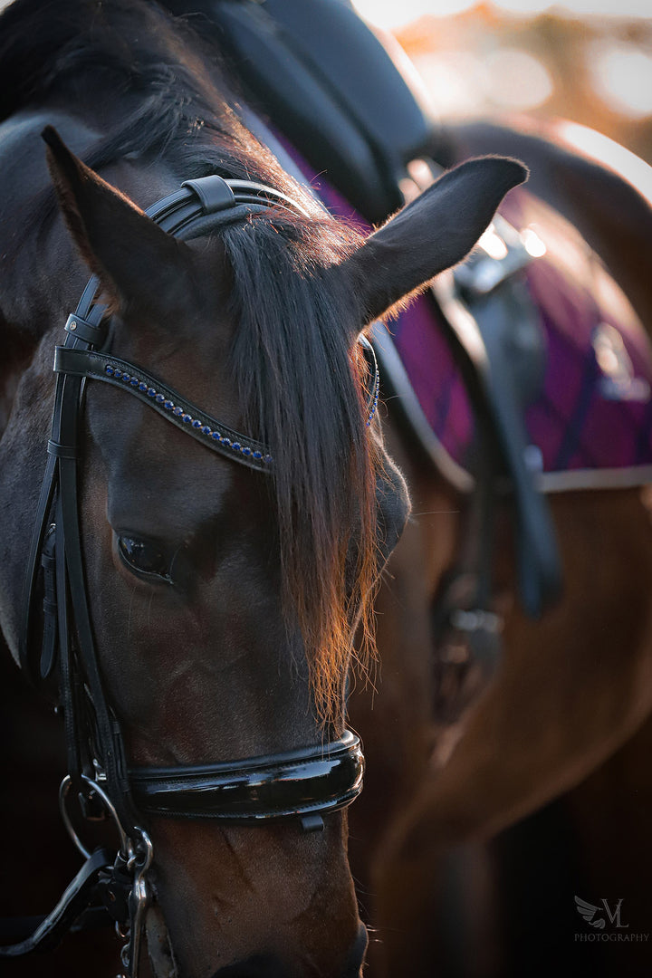 Ultraviolet Browband