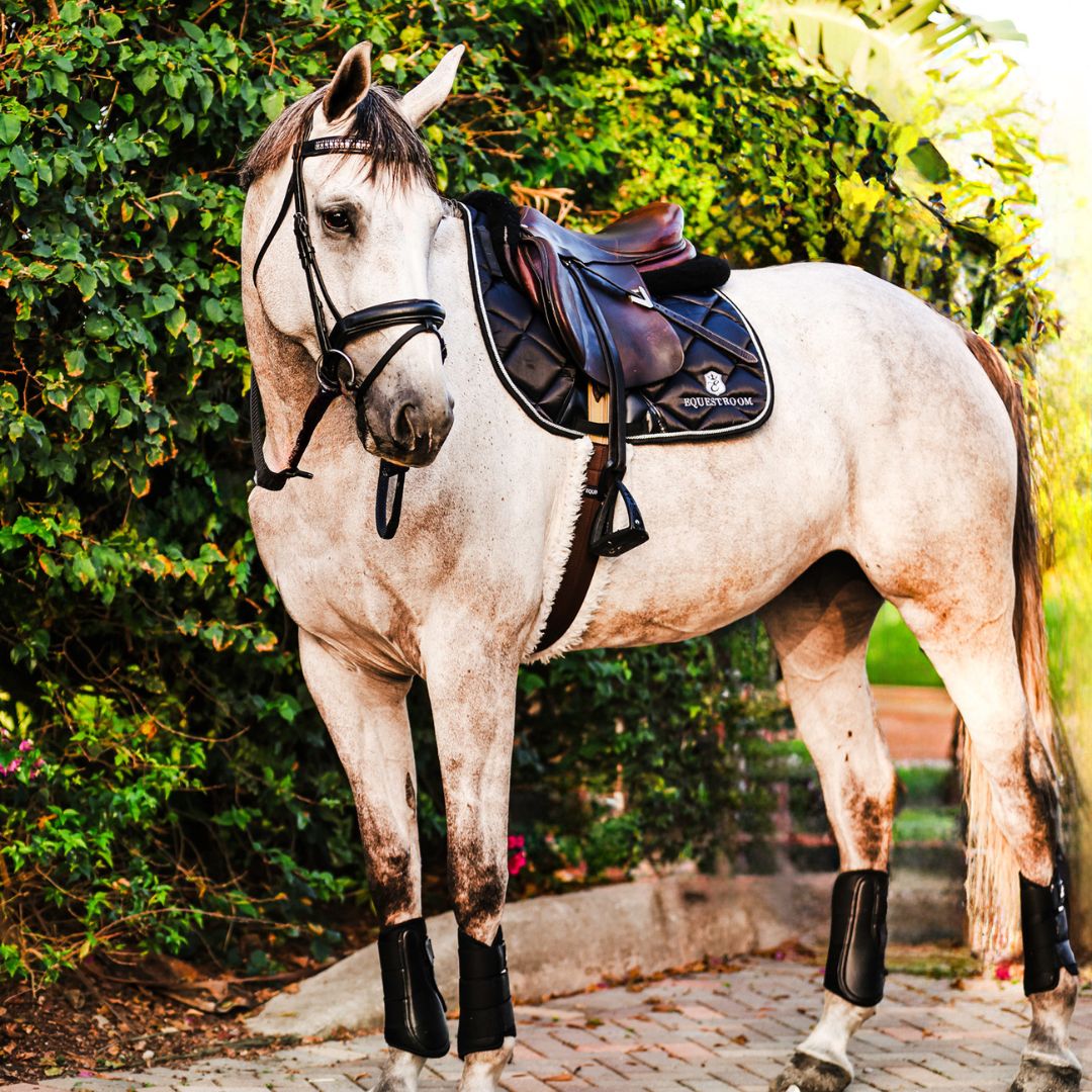 B&W - Black Saddle Pad