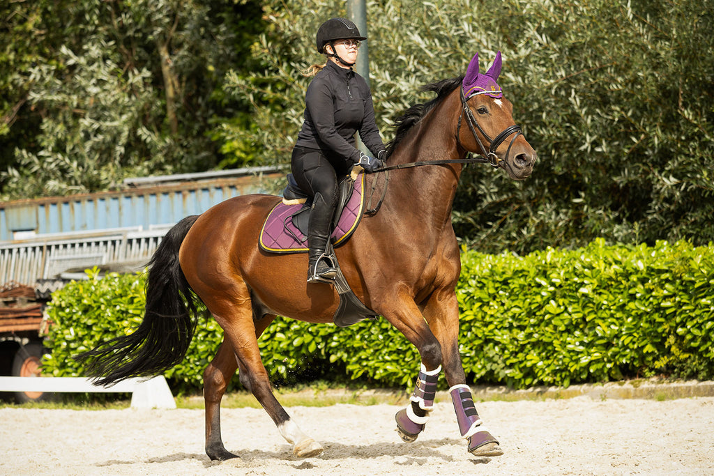 Dark Orchid Saddle Pad Set
