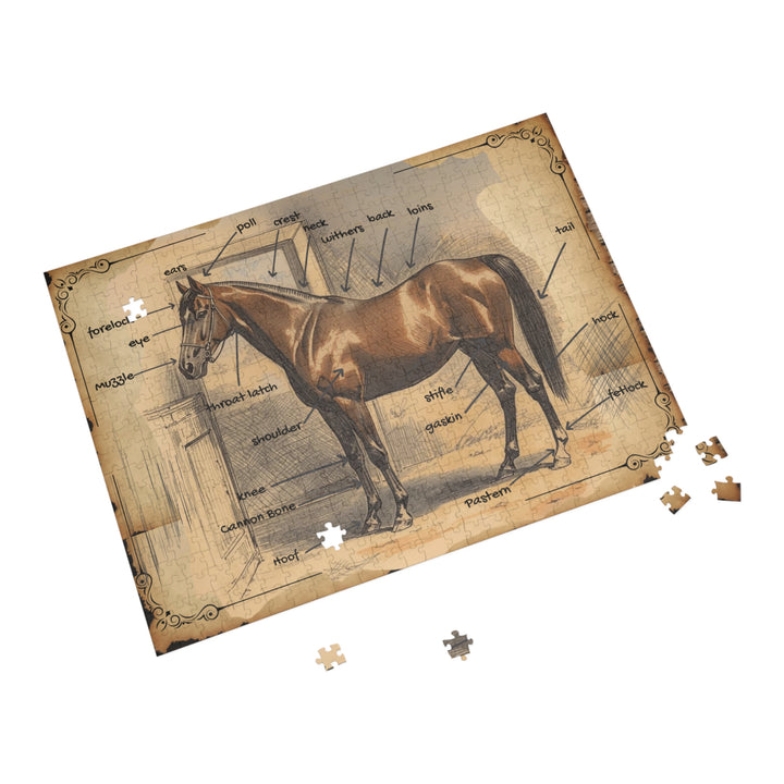 Vintage Parts of the Horse Anatomy Puzzle - Educational Parts of the Horse Jigsaw (500 pcs)