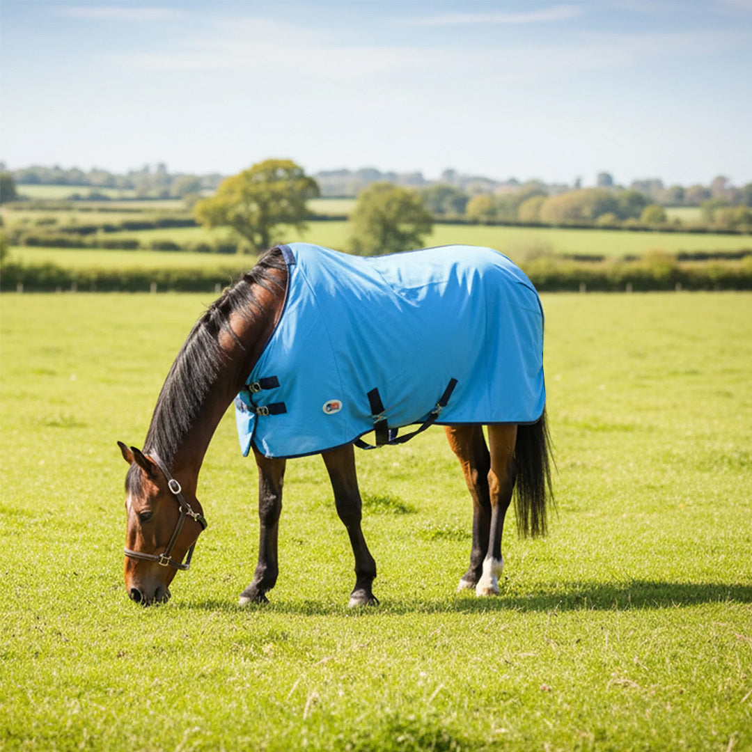 3-in-1 Durable Horse Fly Sheet – UV Sun Protection & Summer Turnout Sheet