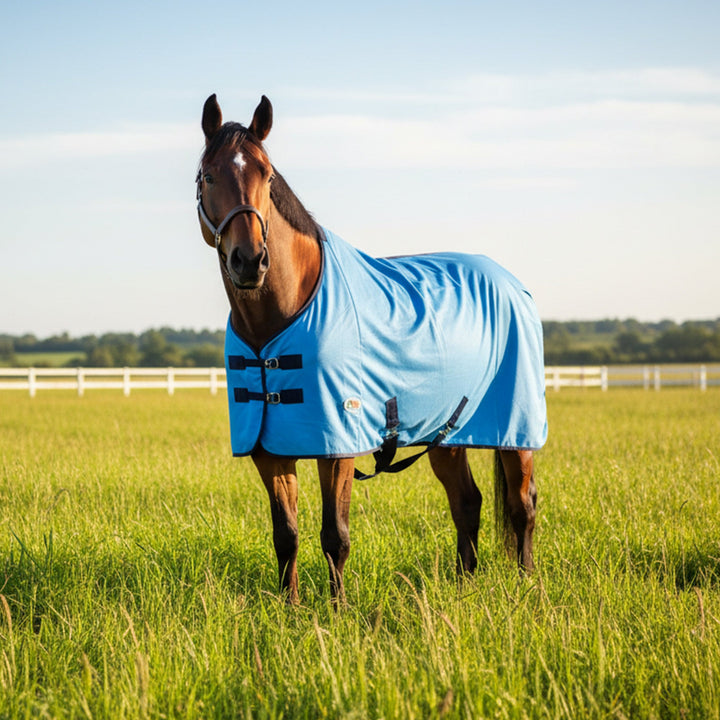 3-in-1 Durable Horse Fly Sheet – UV Sun Protection & Summer Turnout Sheet