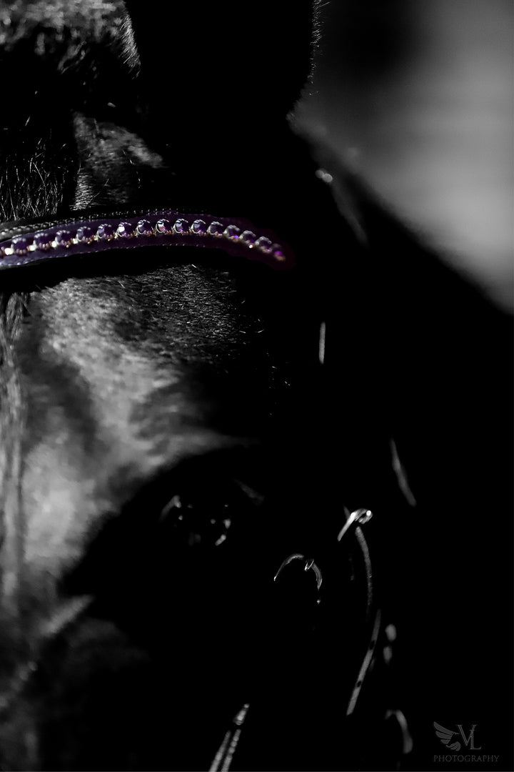 Ultraviolet Browband