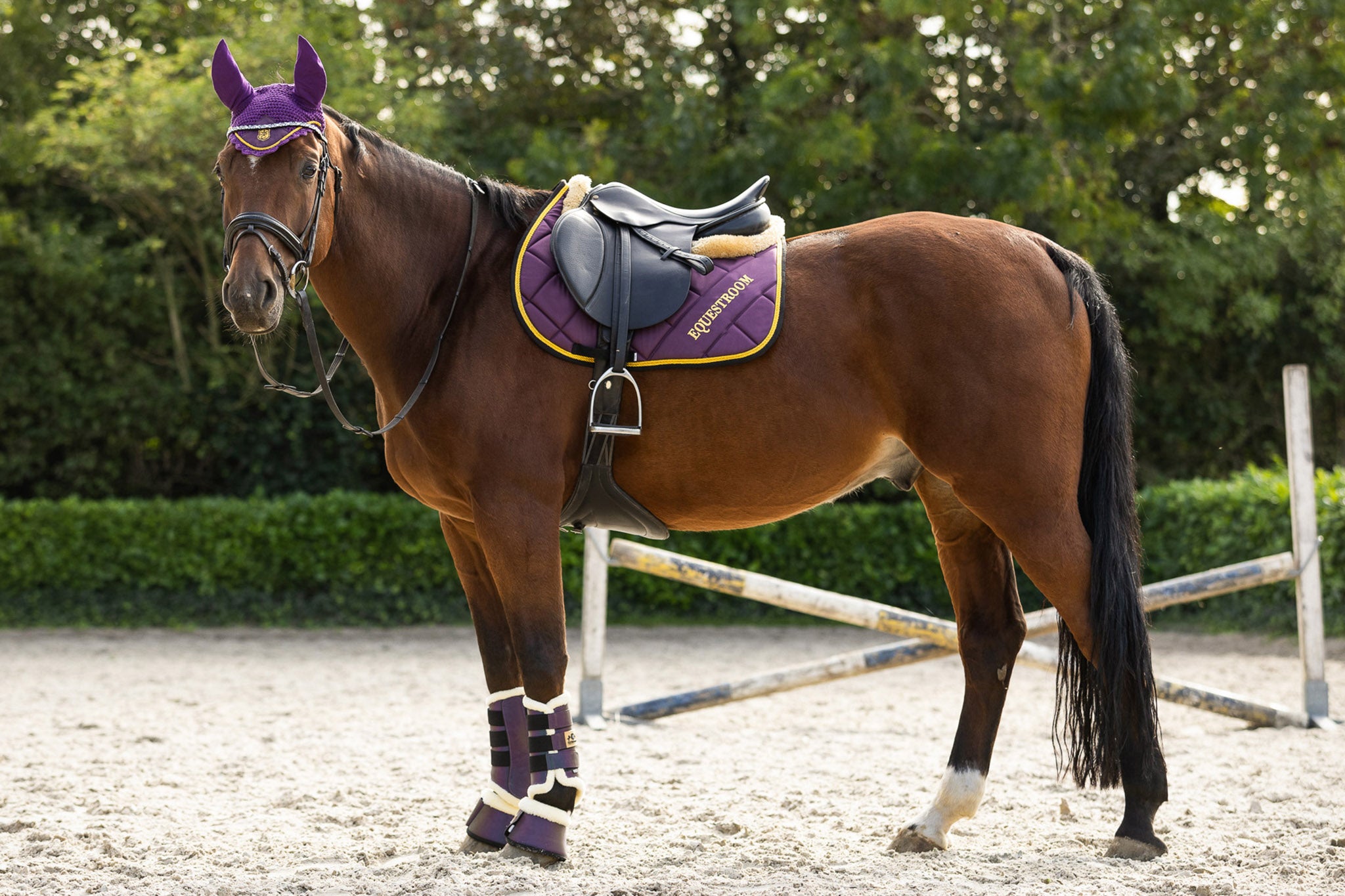 Primo Equine Matchy Jumping Saddle Pad Set – Red/Orange/Pink – Includes Ear Net, Brushing Boots, Bell Boots (PS-3310)
