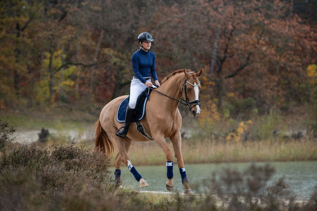 Blue Astra Saddle Pad Set