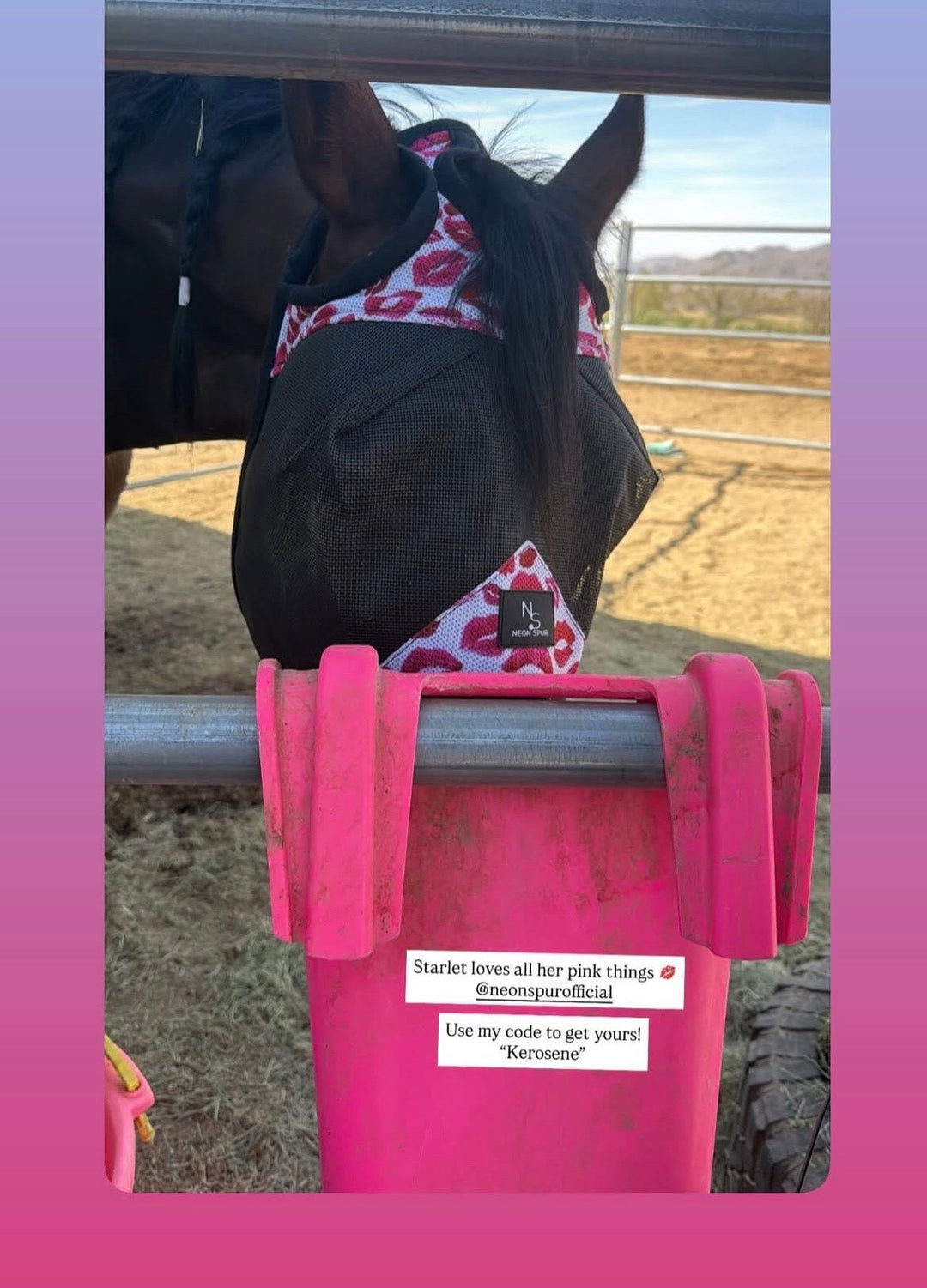 Horse Fly Mask  -Smooch Pink and Black