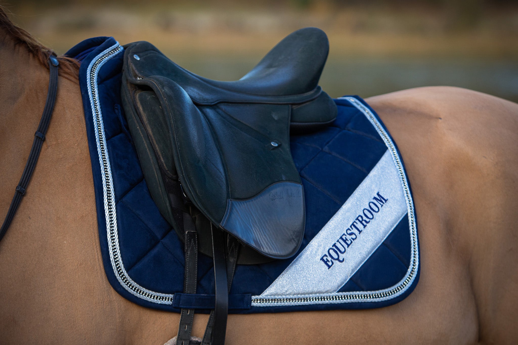 Blue Astra Saddle Pad