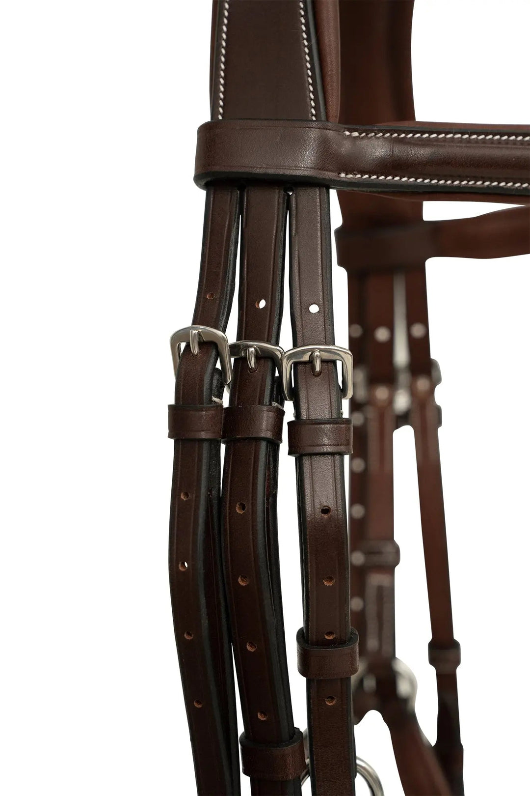 Equestrian Sedgwick Leather Padded Monocrown Figure 8 Bridle