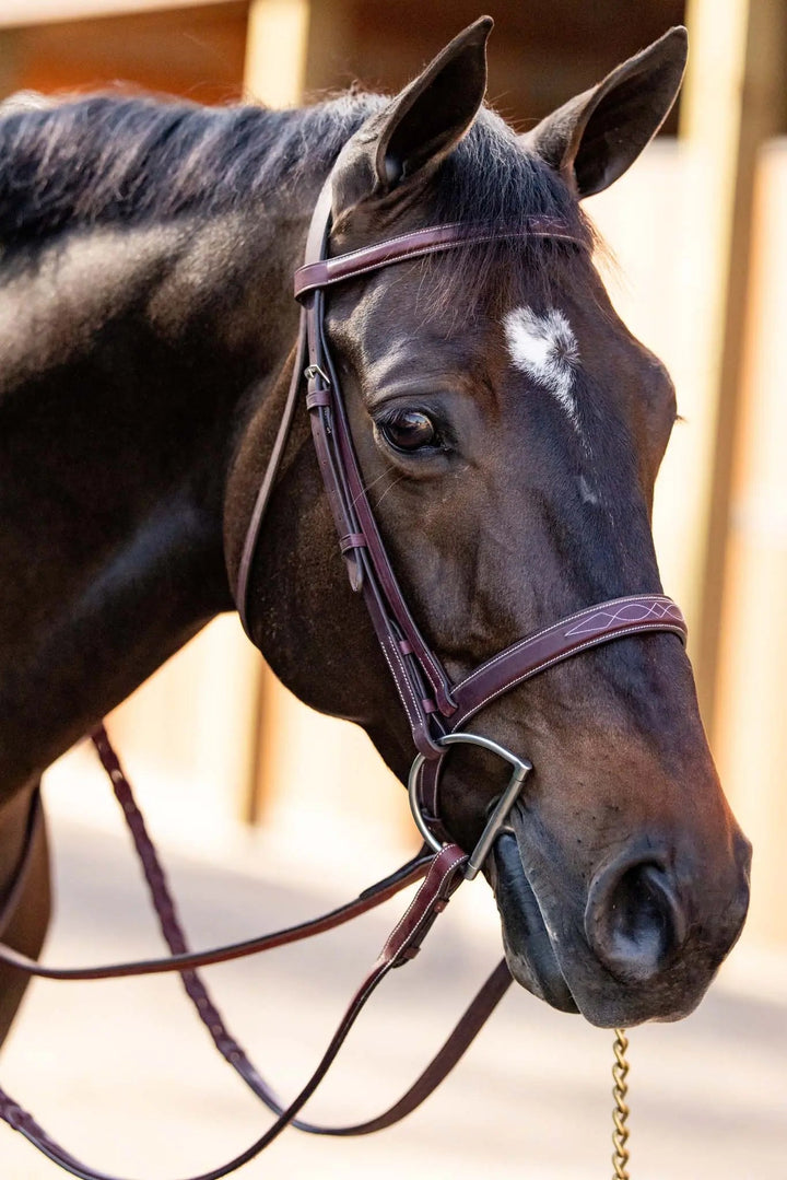 Equestrian Fancy Stitched Schooling Hunter Bridle with Reins