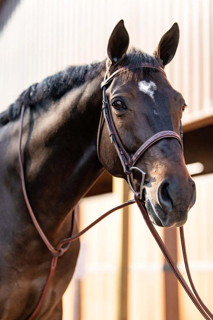 Equestrian Fancy Stitched Schooling Hunter Bridle with Reins