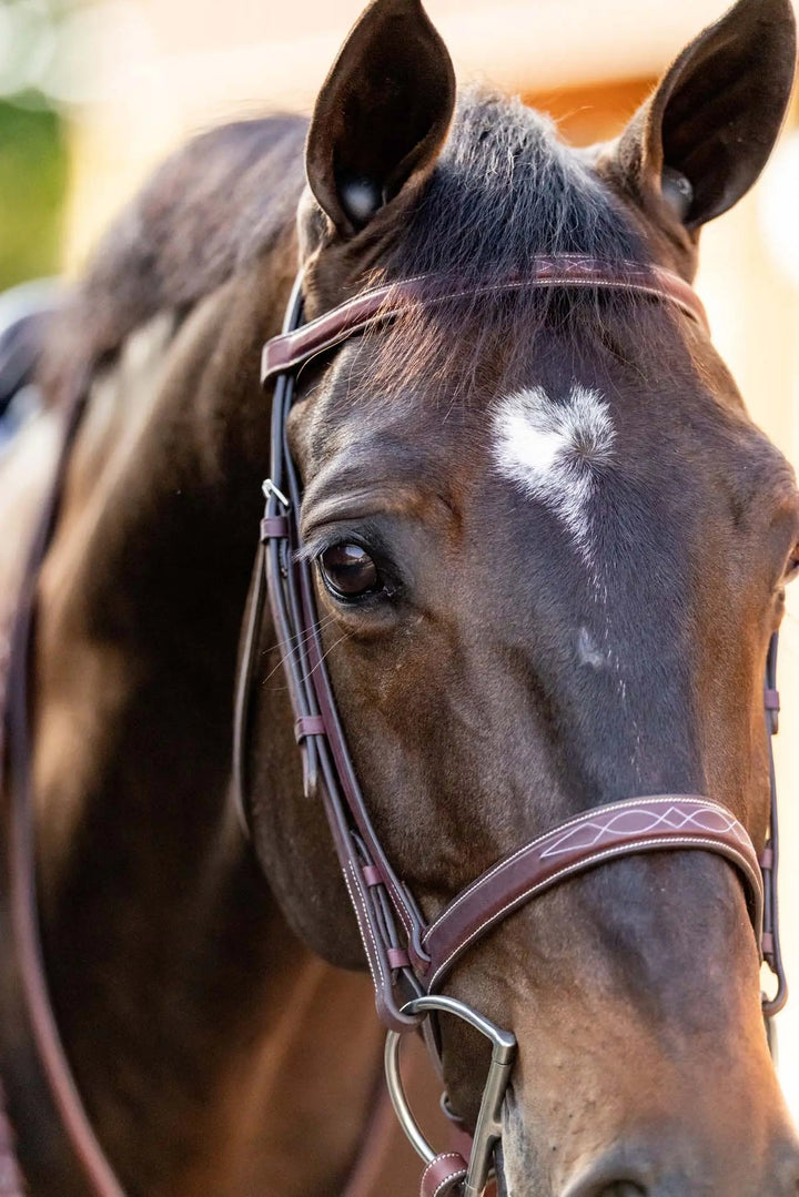 Equestrian Fancy Stitched Schooling Hunter Bridle with Reins