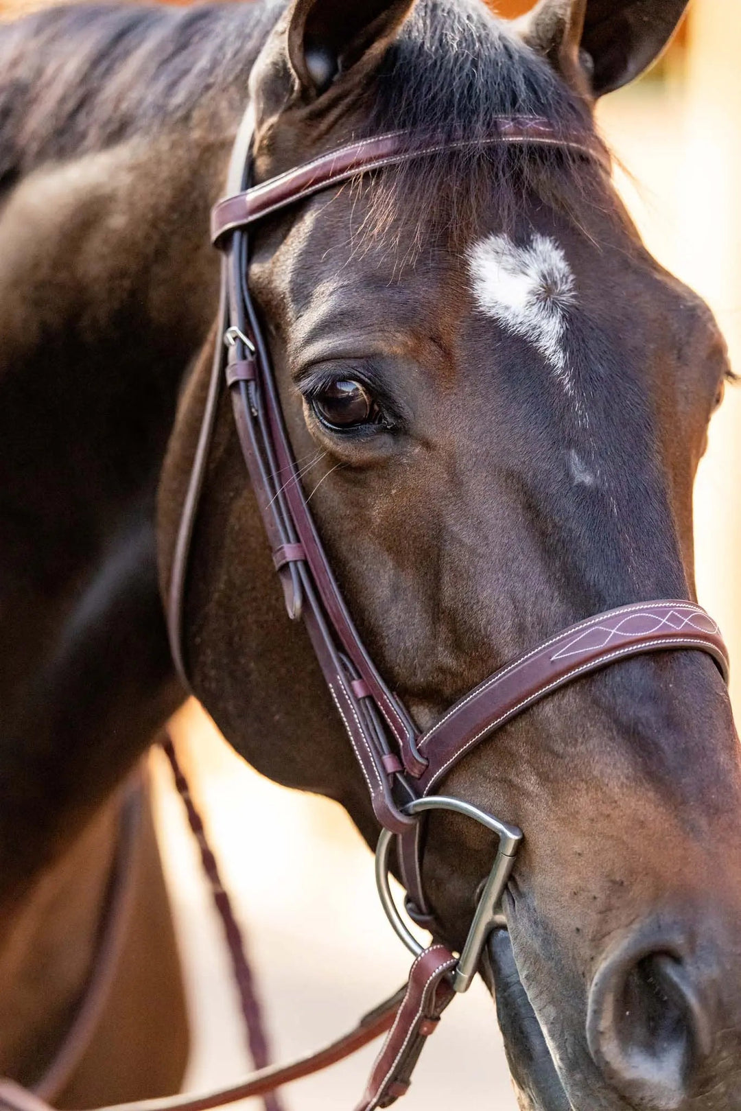 Equestrian Fancy Stitched Schooling Hunter Bridle with Reins