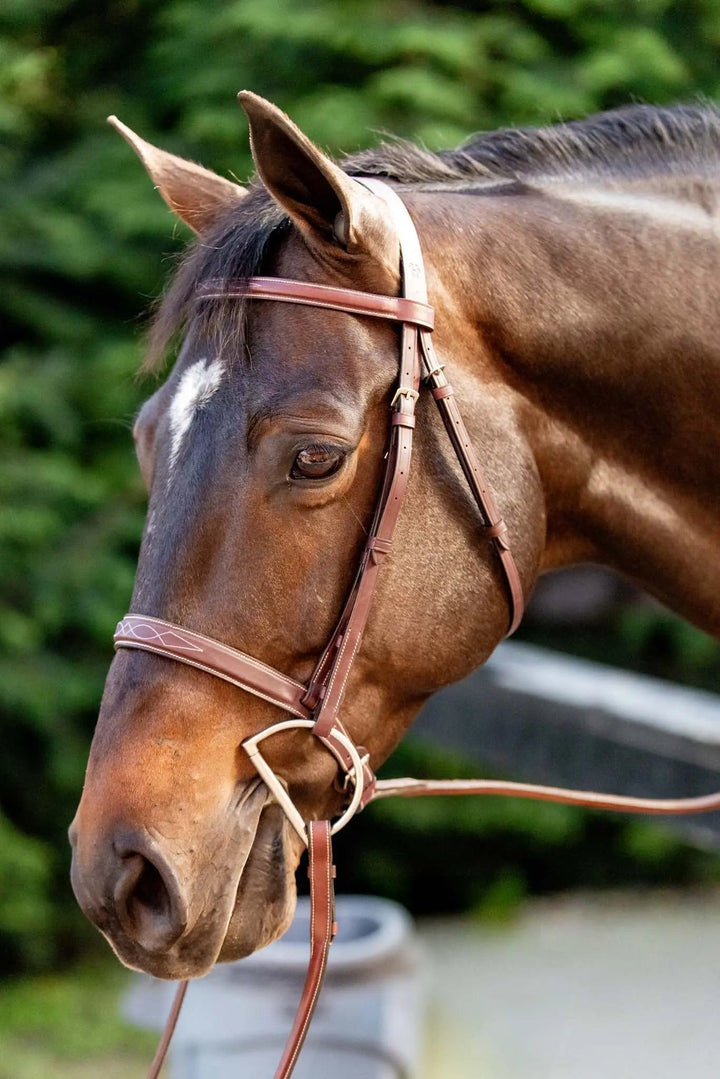 Equestrian Fancy Stitched Schooling Hunter Bridle with Reins