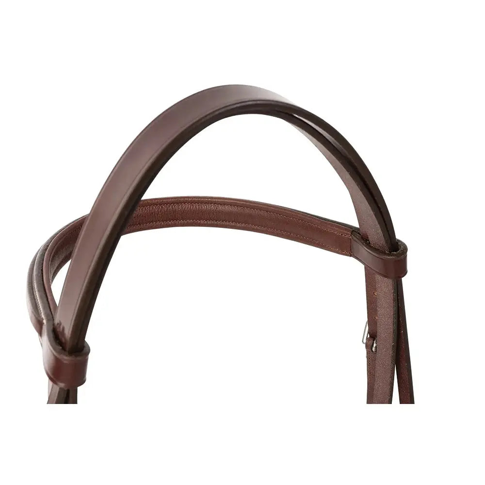 Equestrian Fancy Stitched Sedgwick Leather Padded Bridle with Reins