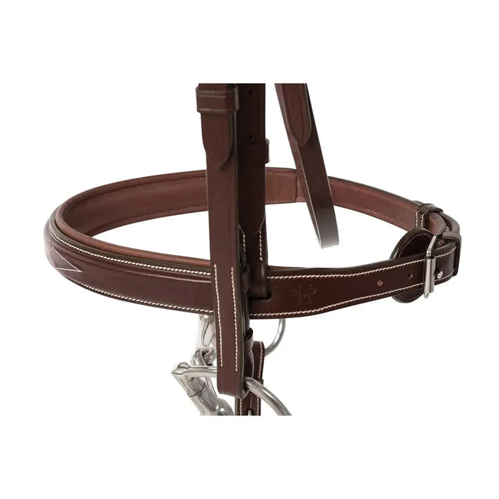 Equestrian Fancy Stitched Sedgwick Leather Padded Bridle with Reins