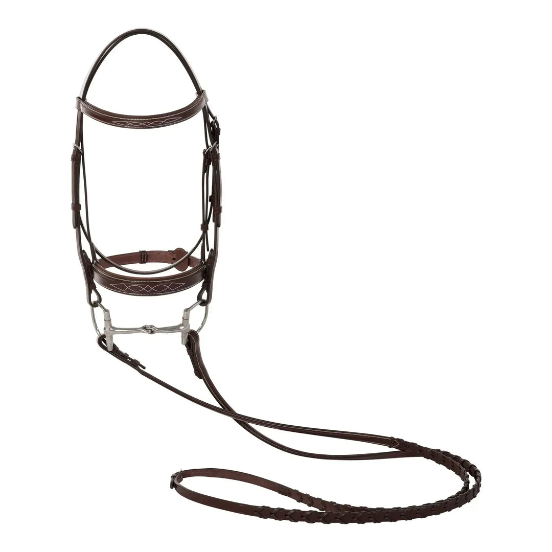 Equestrian Fancy Stitched Sedgwick Leather Padded Bridle with Reins