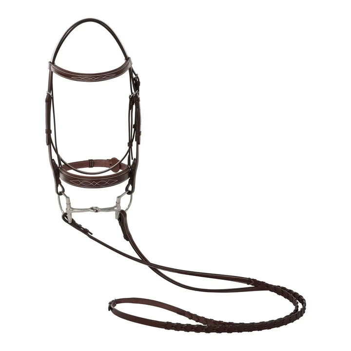 Equestrian Fancy Stitched Sedgwick Leather Padded Bridle with Reins