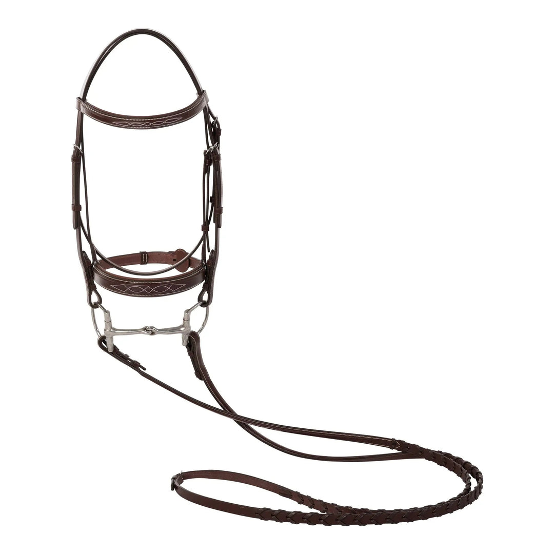 Equestrian Fancy Stitched Sedgwick Leather Padded Bridle with Reins