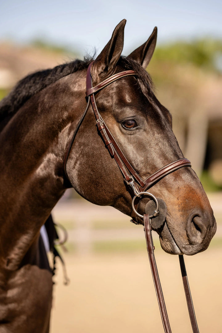 Equestrian Fancy Stitched Bridle with Cheek Clips and Reins