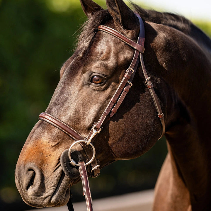 Equestrian Fancy Stitched Bridle with Cheek Clips and Reins