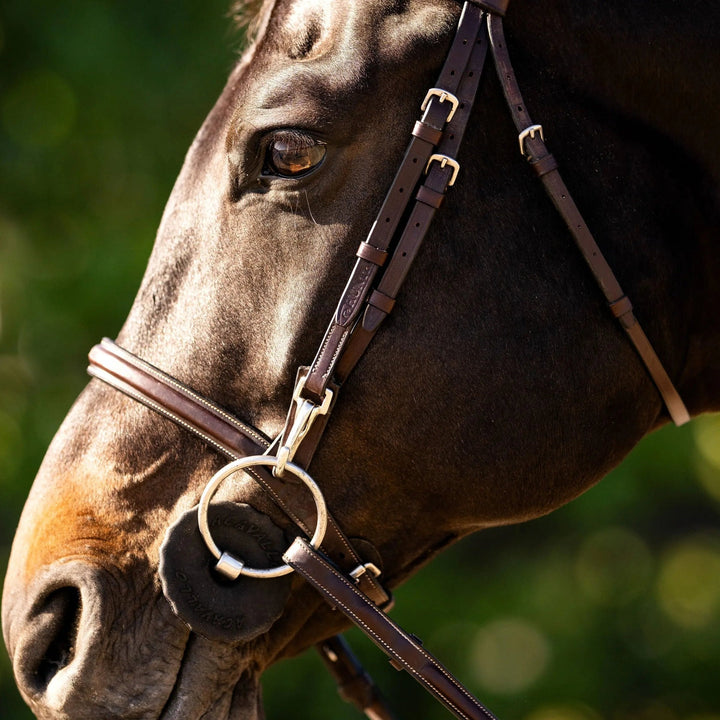Equestrian Fancy Stitched Bridle with Cheek Clips and Reins