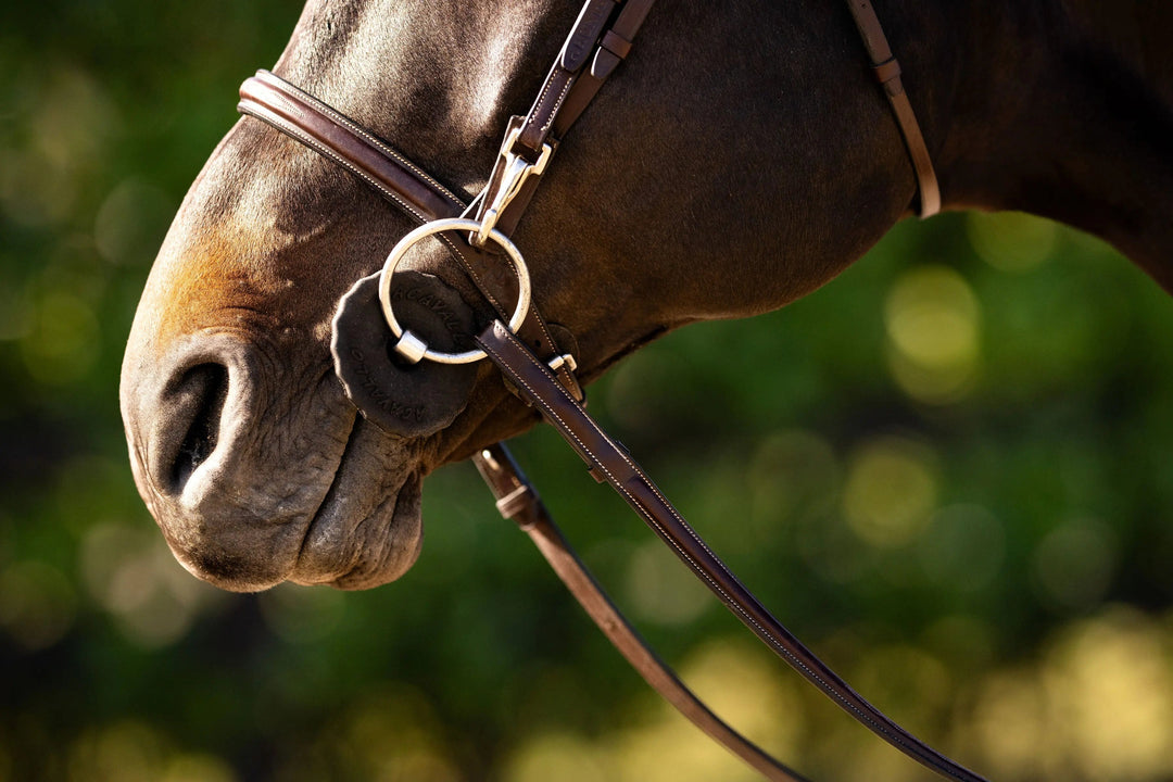 Equestrian Fancy Stitched Bridle with Cheek Clips and Reins