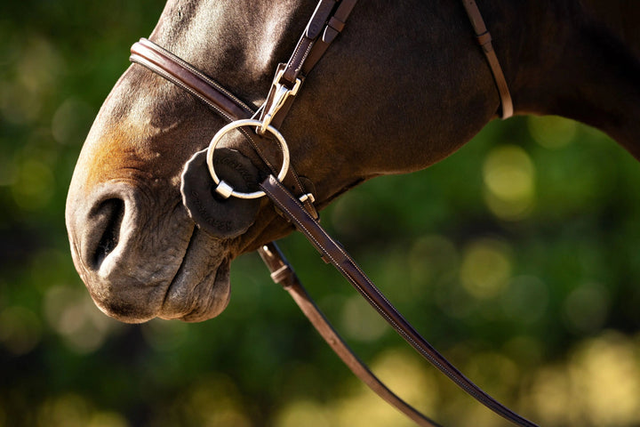 Equestrian Fancy Stitched Bridle with Cheek Clips and Reins