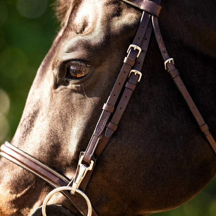 Equestrian Fancy Stitched Bridle with Cheek Clips and Reins