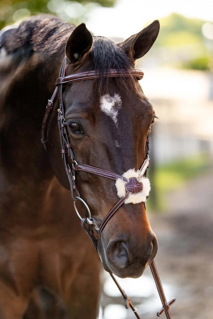 Equestrian Sedgwick Leather Padded Monocrown Figure 8 Bridle